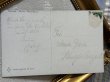 画像4: Postcard　アンティークポストカード　女の子と白い猫　ドイツ (4)