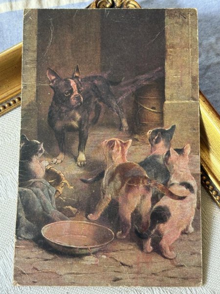 画像2: Postcard アンティークポストカード 犬と猫の家族の睨み合い ボストンテリア フレンチブルドッグ ドイツ1921年 (2)