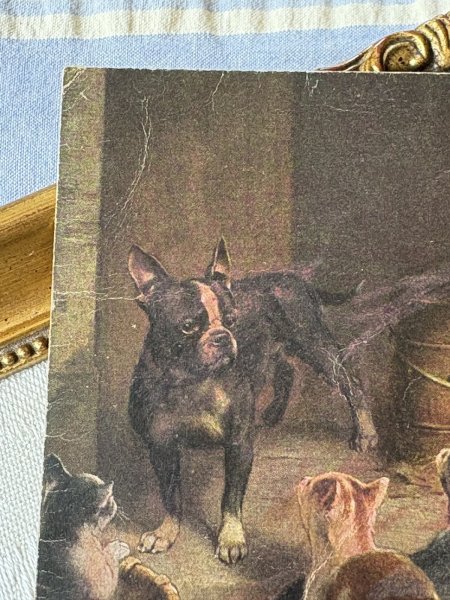 ゆるい折れあり