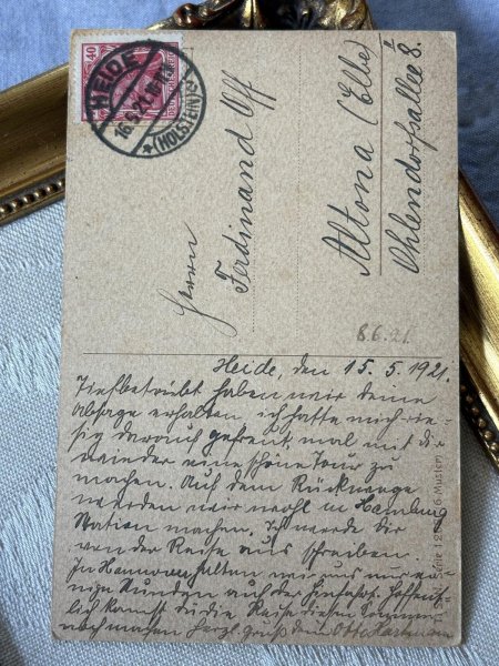 画像4: Postcard アンティークポストカード 犬と猫の家族の睨み合い ボストンテリア フレンチブルドッグ ドイツ1921年 (4)