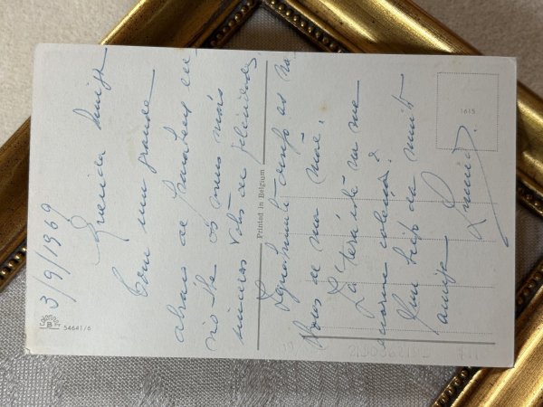 画像3: Postcard　アンティークポストカード　公園で遊ぶ猫たち　 (3)