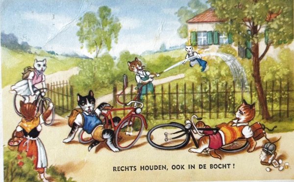 画像1: Postcard　アンティークポストカード　自転車事故をおこした猫たち　オランダ1960年 (1)