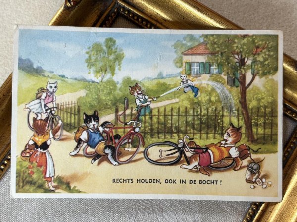画像3: Postcard　アンティークポストカード　自転車事故をおこした猫たち　オランダ1960年 (3)