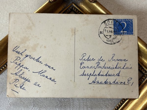 画像5: Postcard　アンティークポストカード　遊園地で遊ぶ猫たち　オランダ1955年 (5)