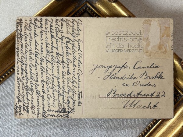 画像4: Postcard　アンティークポストカード 　おもちゃで遊ぶ子猫たち　 (4)