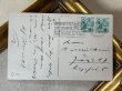 画像3: Postcard　アンティークポストカード 　猫家族の台所　キッチン　スイス (3)