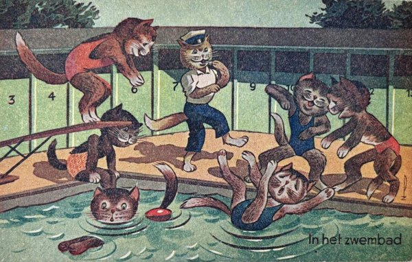 画像1: Postcard　アンティークポストカード 　プールで水遊びをする猫たち　 (1)