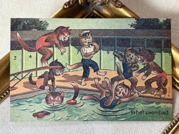 画像2: Postcard　アンティークポストカード 　プールで水遊びをする猫たち　 (2)