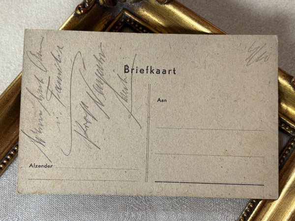 画像3: Postcard　アンティークポストカード 　プールで水遊びをする猫たち　 (3)