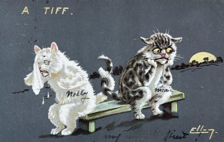 Snowdrop Postcards アンティークポストカード専門店 【猫 イラスト】