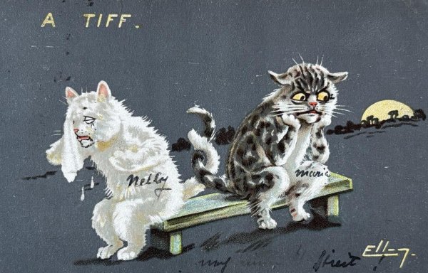 画像1: Postcard　アンティークポストカード 　喧嘩をした猫　Ellam 　イギリス1906年 (1)