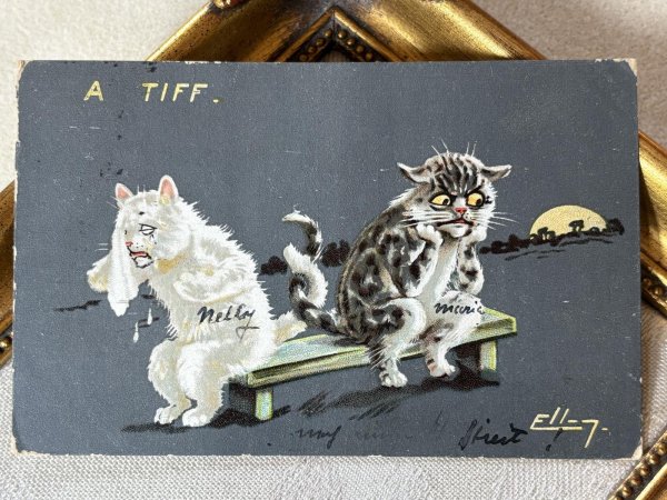 画像2: Postcard　アンティークポストカード 　喧嘩をした猫　Ellam 　イギリス1906年 (2)