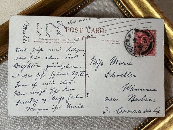 画像3: Postcard　アンティークポストカード 　喧嘩をした猫　Ellam 　イギリス1906年 (3)