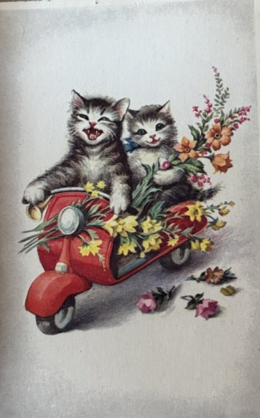 画像1: Postcard　アンティークポストカード 　スクーターに乗る猫　バイク　お花　フランス (1)