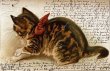画像1: Postcard　アンティークポストカード 　キジトラの猫　Dorothy Travers Pope　ドイツ1902年 (1)