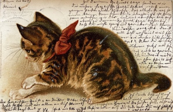 画像1: Postcard　アンティークポストカード 　キジトラの猫　Dorothy Travers Pope　ドイツ1902年 (1)