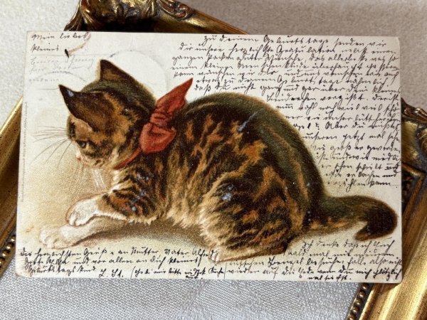 画像2: Postcard　アンティークポストカード 　キジトラの猫　Dorothy Travers Pope　ドイツ1902年 (2)