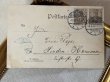 画像3: Postcard　アンティークポストカード 　キジトラの猫　Dorothy Travers Pope　ドイツ1902年 (3)