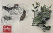 画像1: Postcard　アンティークポストカード　泣く赤ちゃんと3匹のダックスフンド犬　宿り木　ヤドリギ　フランス1907年 (1)