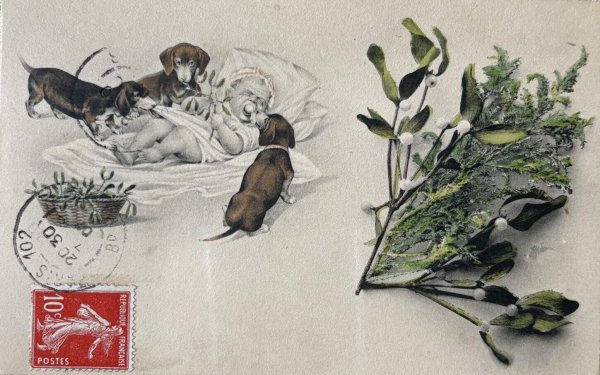 画像1: Postcard　アンティークポストカード　泣く赤ちゃんと3匹のダックスフンド犬　宿り木　ヤドリギ　フランス1907年 (1)