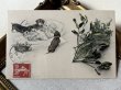 画像2: Postcard　アンティークポストカード　泣く赤ちゃんと3匹のダックスフンド犬　宿り木　ヤドリギ　フランス1907年 (2)