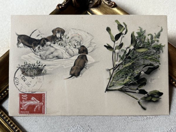 画像2: Postcard アンティークポストカード 泣く赤ちゃんと3匹のダックスフンド犬 宿り木 ヤドリギ フランス1907年 (2)