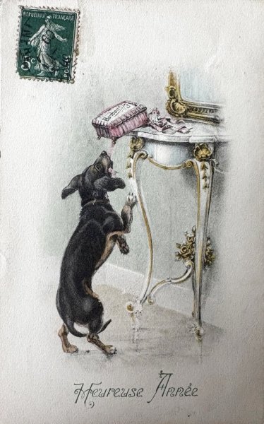 画像1: Postcard　アンティークポストカード　ボンボンの箱を落とすダックスフンド犬　キャンディ　フランス1909年　Vienne　ウィーン趣味 (1)