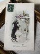 画像2: Postcard　アンティークポストカード　ボンボンの箱を落とすダックスフンド犬　キャンディ　フランス1909年　Vienne　ウィーン趣味 (2)