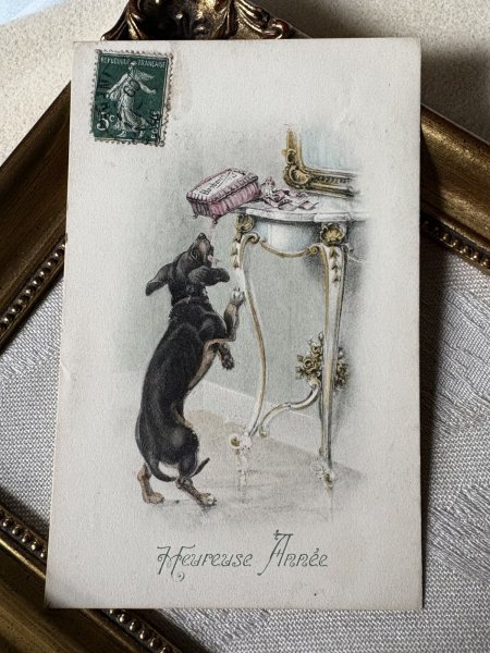 画像2: Postcard アンティークポストカード ボンボンの箱を落とすダックスフンド犬 キャンディ フランス1909年 Vienne ウィーン趣味 (2)