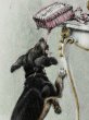 画像3: Postcard　アンティークポストカード　ボンボンの箱を落とすダックスフンド犬　キャンディ　フランス1909年　Vienne　ウィーン趣味 (3)