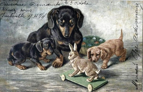 画像1: Postcard　アンティークポストカード　ダックスフンド犬の家族とウサギのプルトイ　フランス1904年 (1)