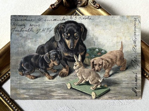 画像2: Postcard アンティークポストカード ダックスフンド犬の家族とウサギのプルトイ フランス1904年 (2)