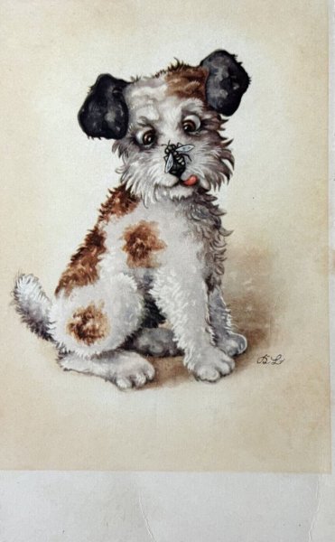 画像1: Postcard　アンティークポストカード　鼻先の蜂　テリア犬　ワイヤーフォックステリア　フランス (1)
