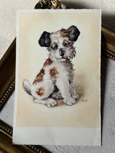 画像2: Postcard　アンティークポストカード　鼻先の蜂　テリア犬　ワイヤーフォックステリア　フランス (2)