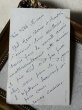 画像3: Postcard　アンティークポストカード　鼻先の蜂　テリア犬　ワイヤーフォックステリア　フランス (3)