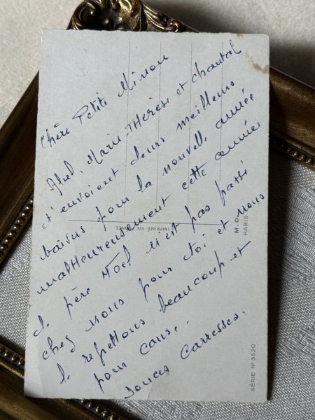 画像3: Postcard　アンティークポストカード　鼻先の蜂　テリア犬　ワイヤーフォックステリア　フランス (3)