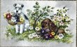 画像1: Postcard　アンティークポストカード　お花と犬たち　ワイヤーフォックステリア　コッカースパニエル　ベルギー (1)