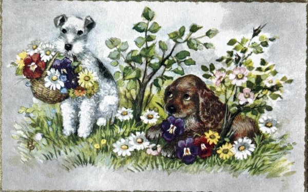 画像1: Postcard　アンティークポストカード　お花と犬たち　ワイヤーフォックステリア　コッカースパニエル　ベルギー (1)