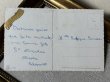 画像3: Postcard　アンティークポストカード　お花と犬たち　ワイヤーフォックステリア　コッカースパニエル　ベルギー (3)