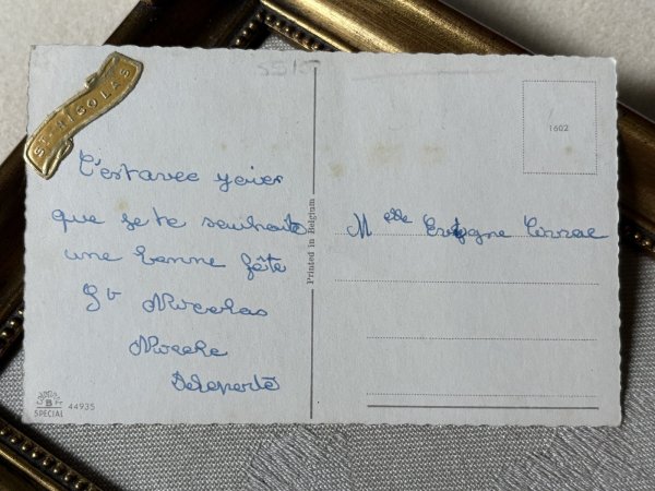 画像3: Postcard　アンティークポストカード　お花と犬たち　ワイヤーフォックステリア　コッカースパニエル　ベルギー (3)