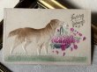 画像2: Postcard　アンティークポストカード　お花かごを運ぶ犬　ゴールデンレトリバー　アイリッシュセッター　（未使用） (2)