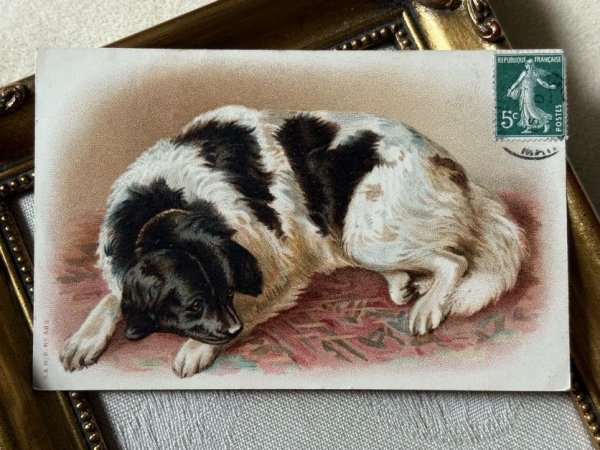 画像2: Postcard　アンティークポストカード　大きな犬　ニューファンドランド犬　Dorothy Travers Pope　フランス1908年 (2)