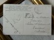 画像3: Postcard　アンティークポストカード　大きな犬　ニューファンドランド犬　Dorothy Travers Pope　フランス1908年 (3)