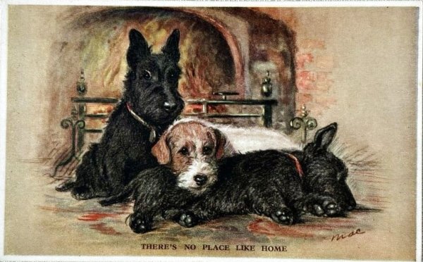 画像1: Postcard　アンティークポストカード　暖炉の前の犬たち　スコティッシュテリア　イギリス　（未使用） (1)