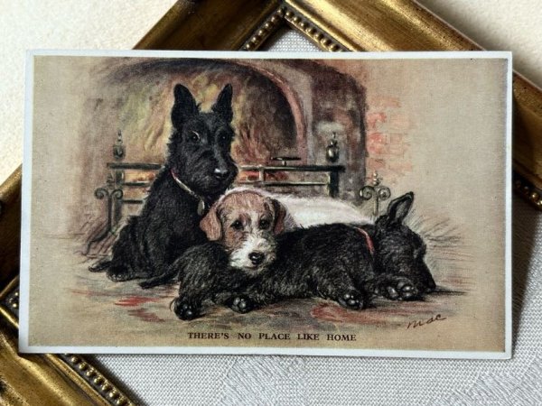 画像2: Postcard　アンティークポストカード　暖炉の前の犬たち　スコティッシュテリア　イギリス　（未使用） (2)