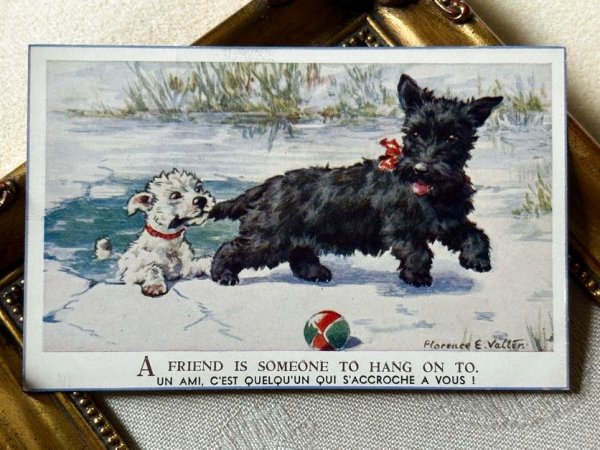 画像2: Postcard　アンティークポストカード　氷の池に落ちた友達を助けるスコティッシュテリア犬　Florence E Valter (未使用) (2)
