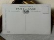 画像3: Postcard　アンティークポストカード　氷の池に落ちた友達を助けるスコティッシュテリア犬　Florence E Valter (未使用) (3)