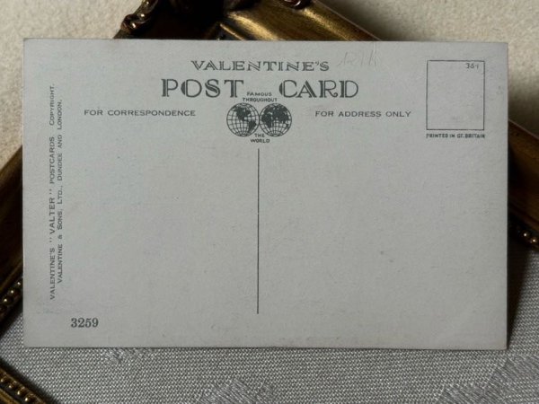 画像3: Postcard　アンティークポストカード　氷の池に落ちた友達を助けるスコティッシュテリア犬　Florence E Valter (未使用) (3)