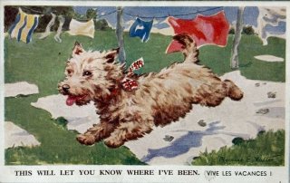 Snowdrop Postcards アンティークポストカード専門店 < Dog >