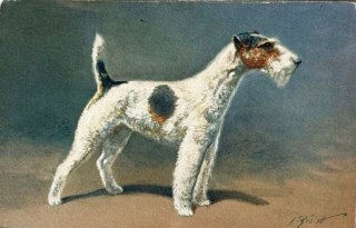 アンティーク犬　 ビンテージ 犬　 テリア ボストンテリア犬フィギュリン | ヘーゲンリネカー - アンティーク